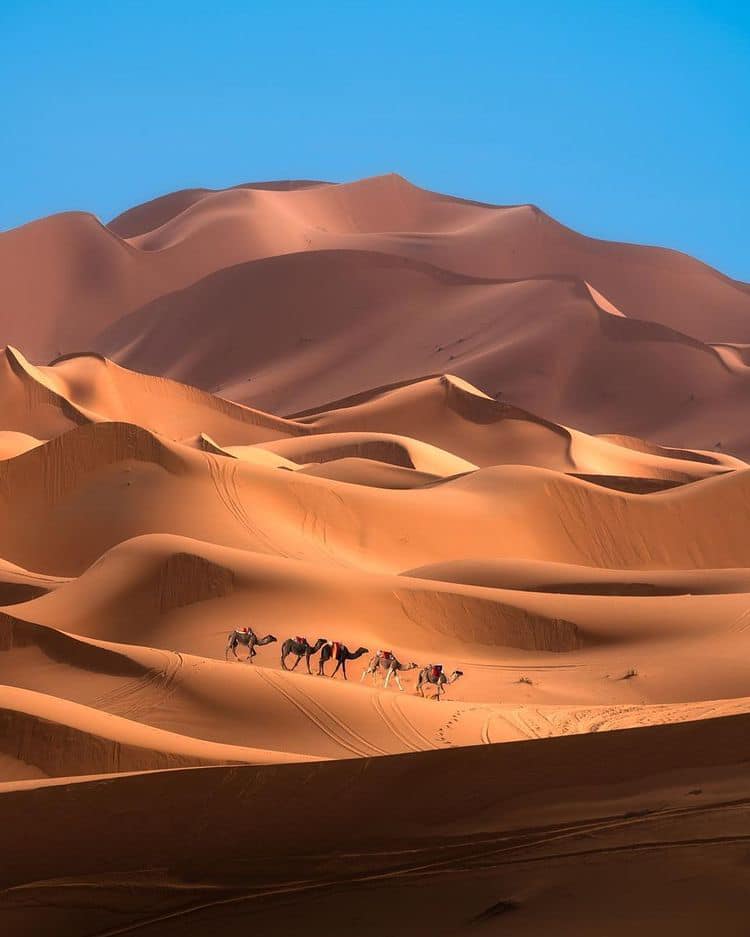 The Golden Dunes of Merzouga Desert