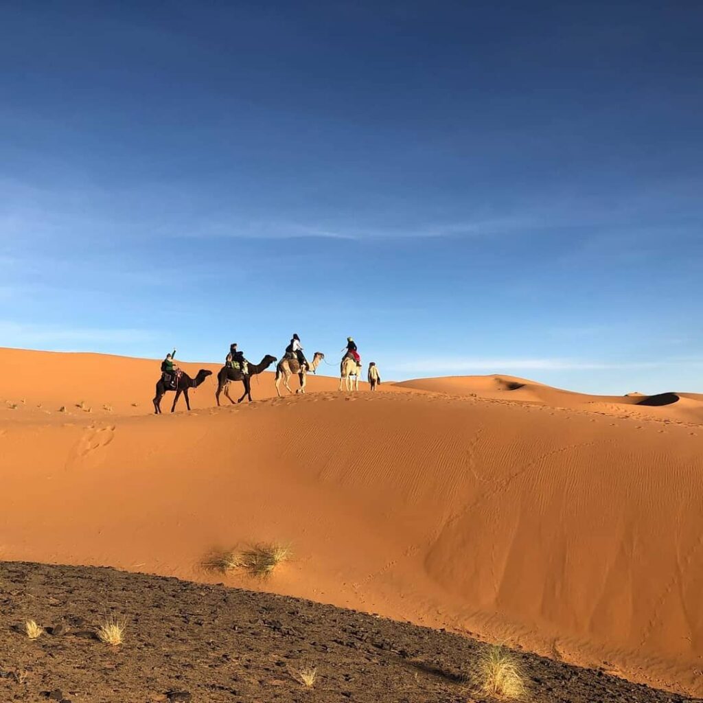 Best 4 days Marrakech to Fes desert tour