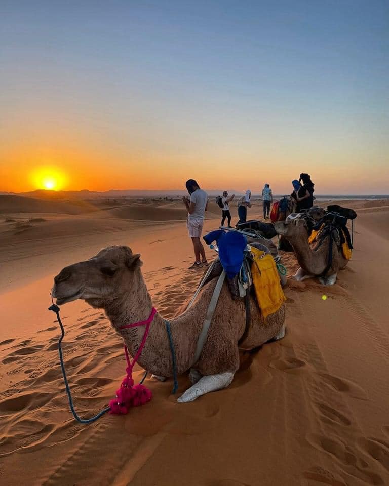 Camel trekking with sunset view