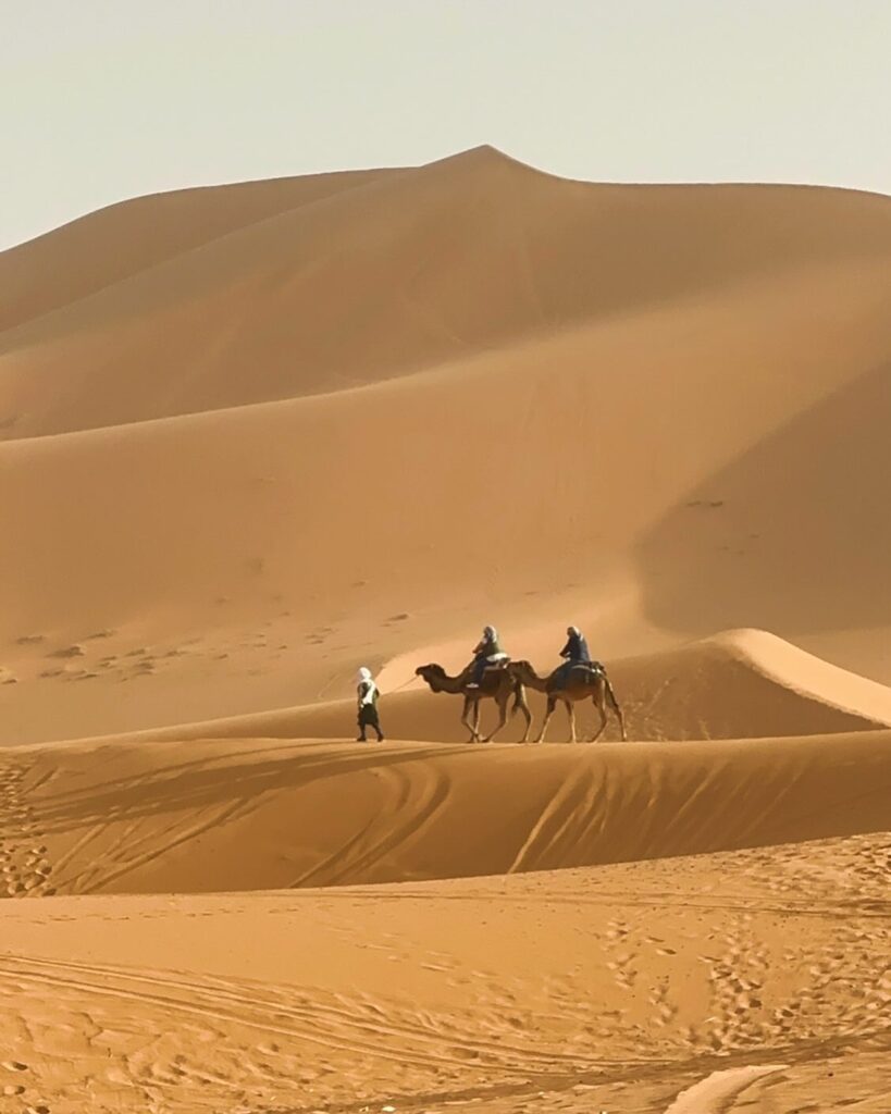 Golden Dunes of Merzouga desert