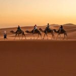 Tourists riding camels among the big dunes of Merzouga