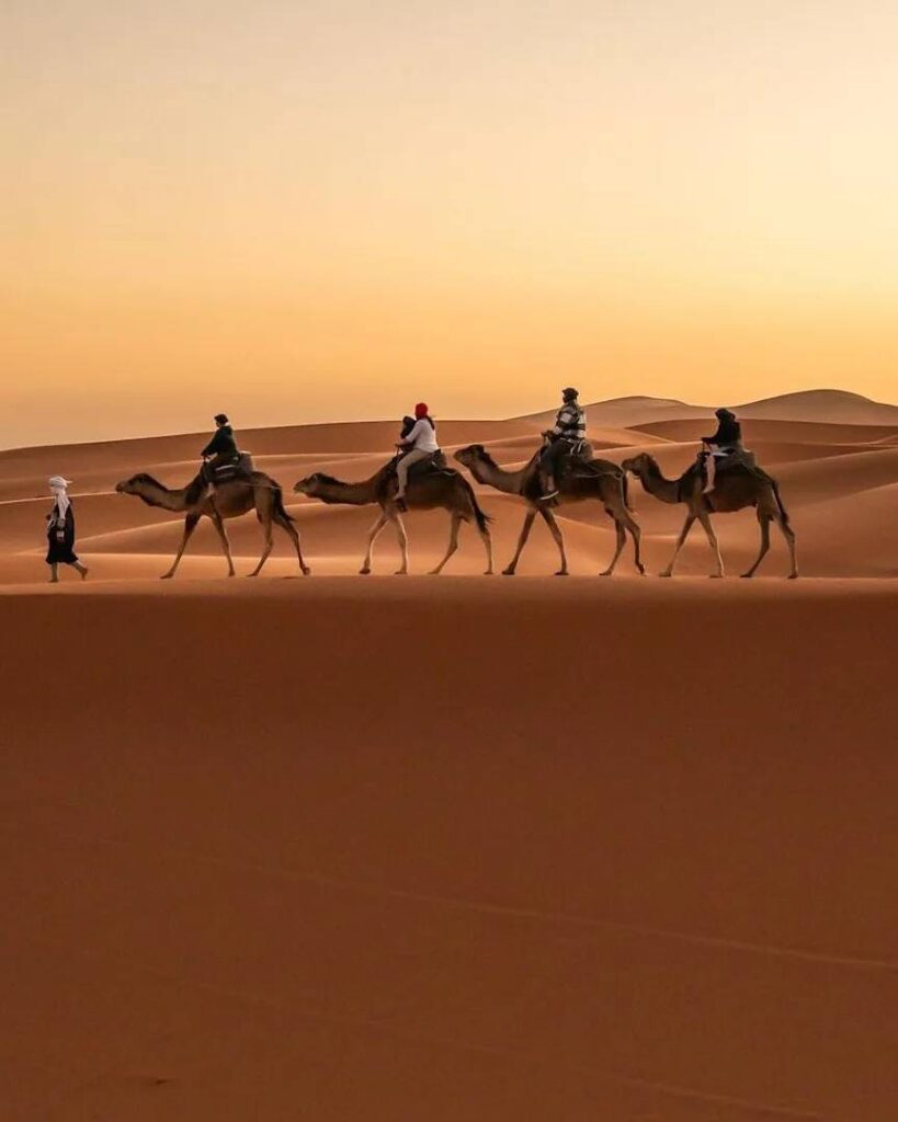 Tourists riding camels among the big dunes of Merzouga