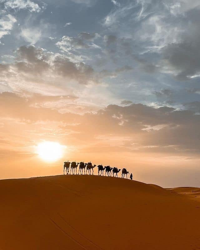 Camel trekking with sunset view in Merzouga